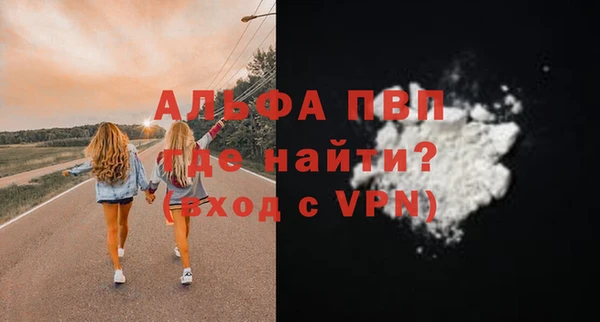шишки Бородино