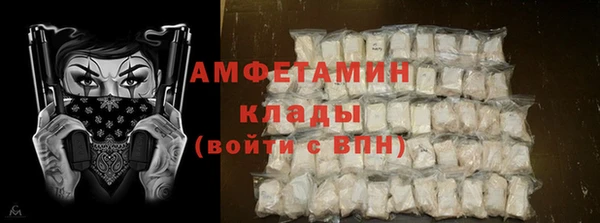 шишки Бородино