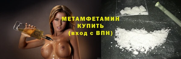 шишки Бородино