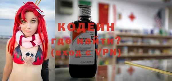 шишки Бородино