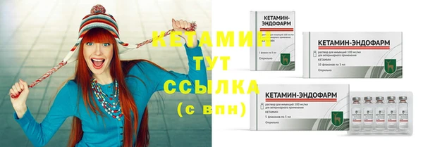 шишки Бородино
