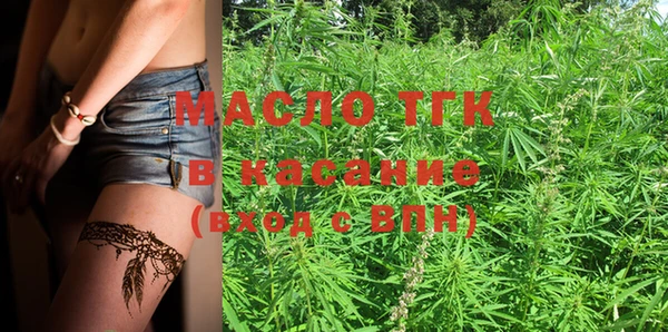 шишки Бородино