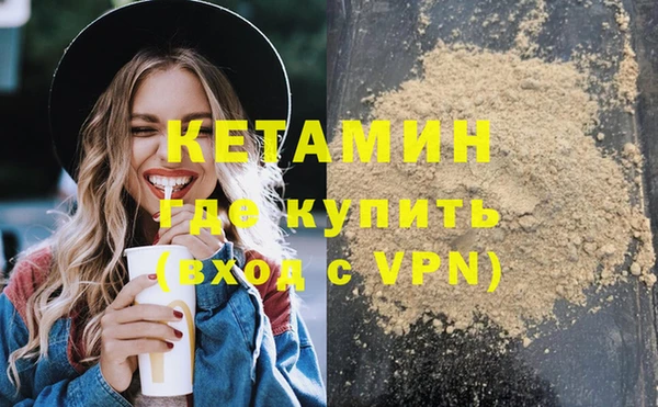 шишки Бородино