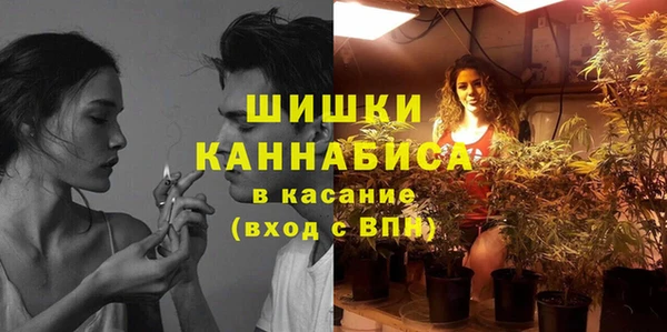 шишки Бородино
