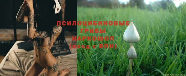 шишки Бородино
