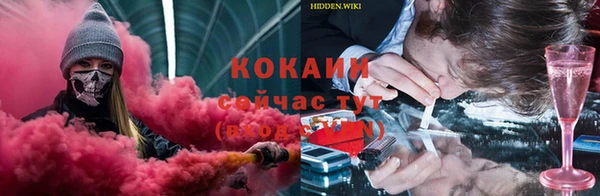 шишки Бородино