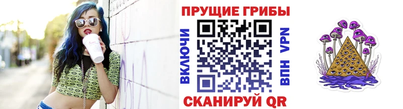 Купить где  Алексин  Галлюциногенные грибы прущие грибы 